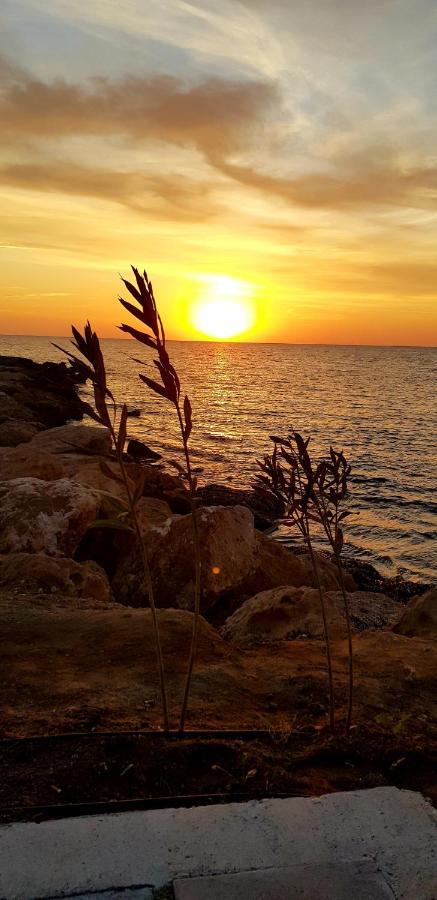 Penny'S Kato Paphos Apartment المظهر الخارجي الصورة