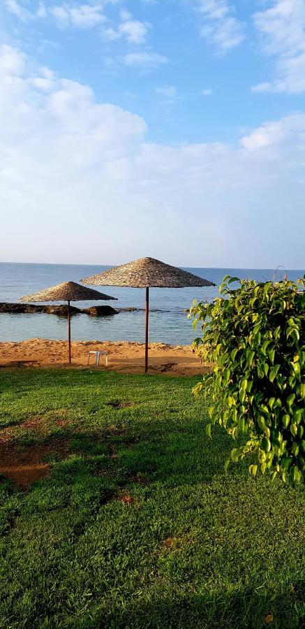 Penny'S Kato Paphos Apartment المظهر الخارجي الصورة