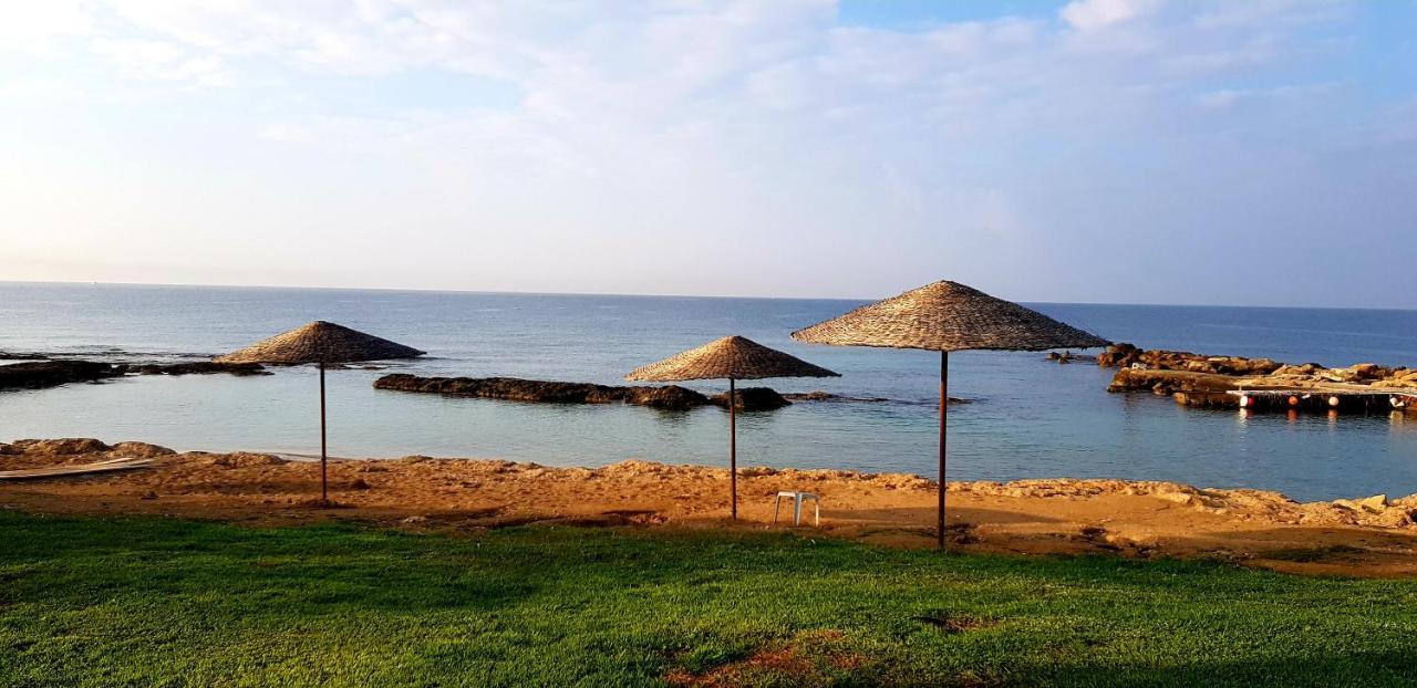 Penny'S Kato Paphos Apartment المظهر الخارجي الصورة